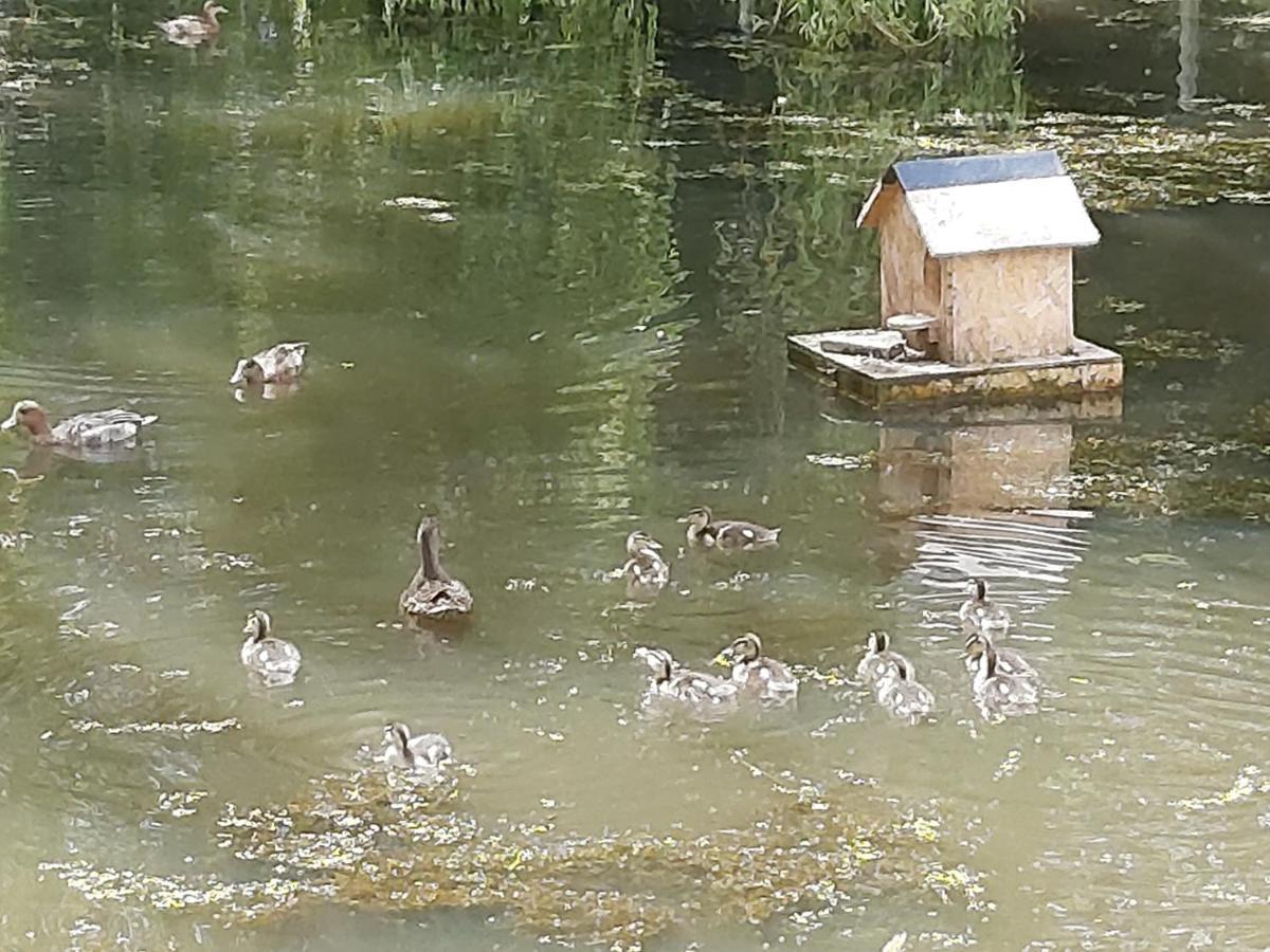 蒙特马丁恩格莱恩Le Bonheur Des Plumes住宿加早餐旅馆 外观 照片